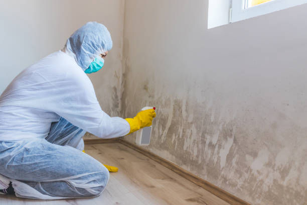 Hvac And Air Duct Mold Remediation inspection of HVAC system in Munson